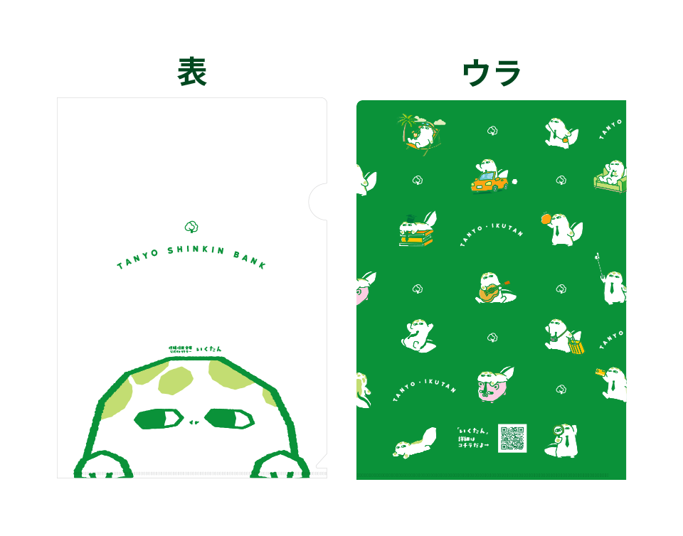 クリアファイル 表・裏