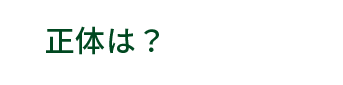 正体は？