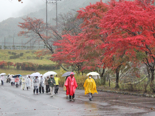 ゆずマラニック