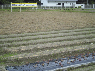 オーガニックヴィレッジの農園予定地