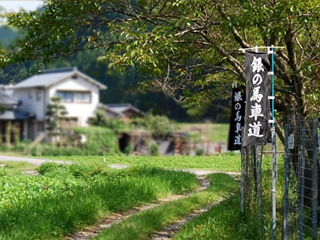 唯一現存する「銀の馬車道」