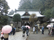 【朝来市】姫宮ゑびす祭りのお手伝いをさせていただきました。